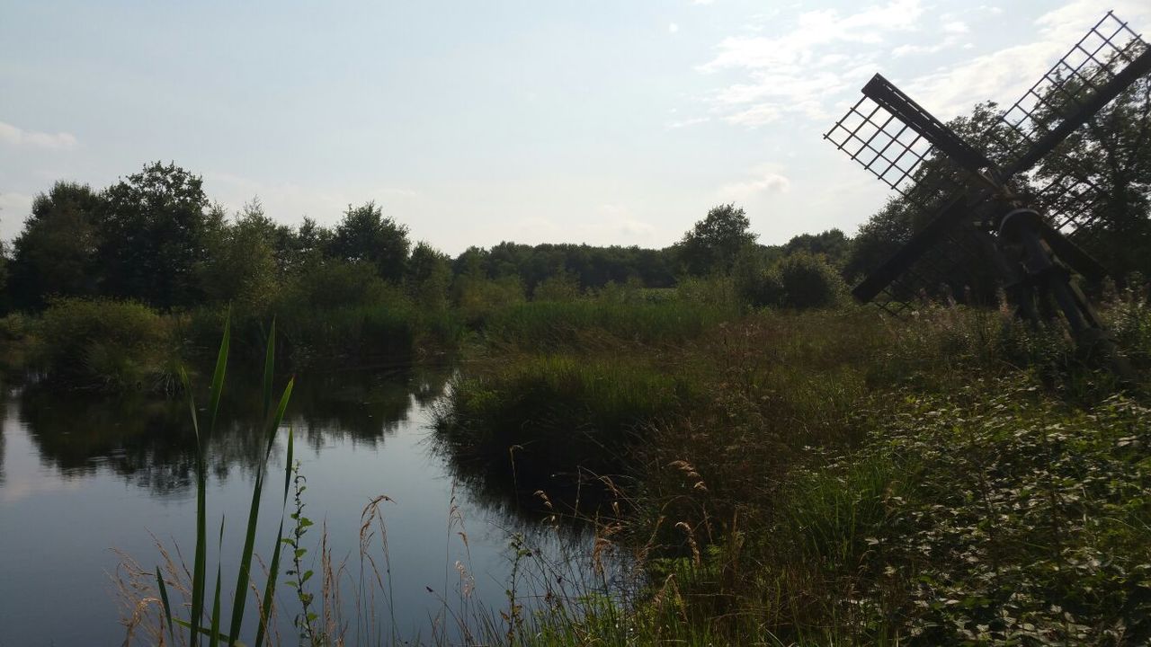Bollenveen ( Tjasker ) 13 Zeijen