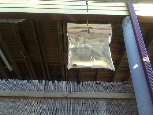 Chasser les mouches... ASTUCE-ANTI-MOUCHES
