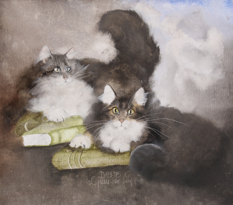 SURPRISED-CAT-1-C29616-1