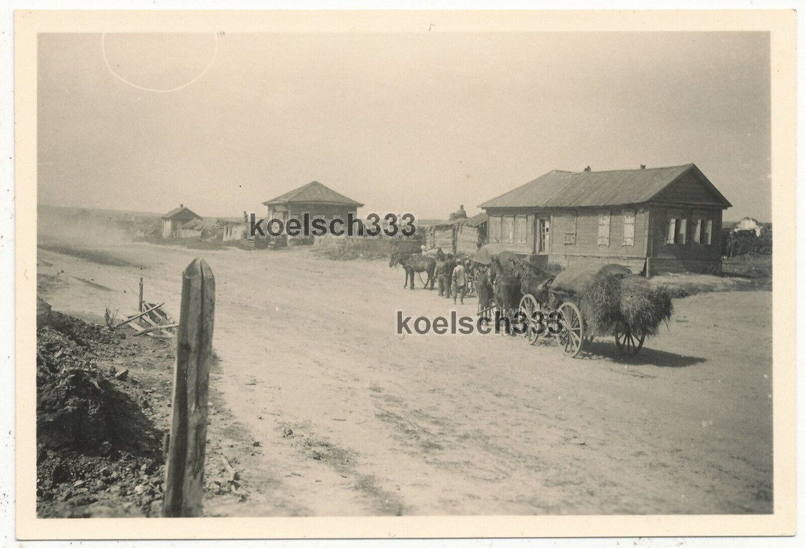 Foto Pferde bespannte Gefechtswagen vor Bauernhäusern in der Ukraine 1941