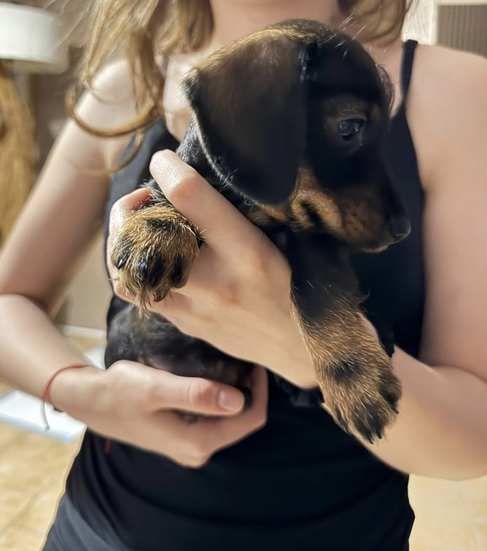 [Image: f9bf9947-7cc9-423c-b847-e4f41e2b87d8.jpg]