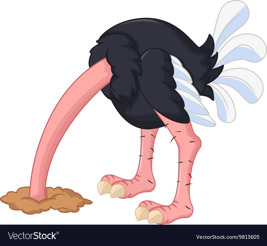 ostrich-cartoon-has-buried-a-head-in-sand-vector-9813605