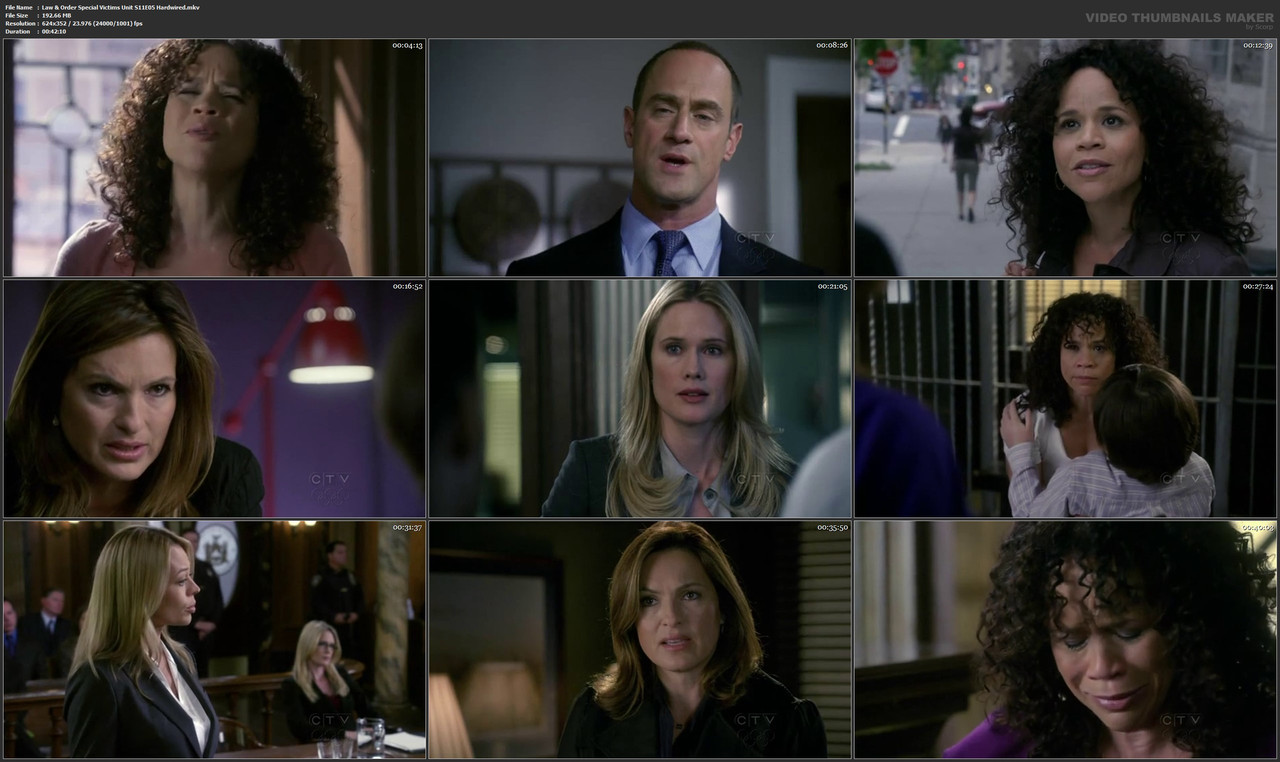 Law & Order Special Victims Unit S11E05 Hardwired.mkv