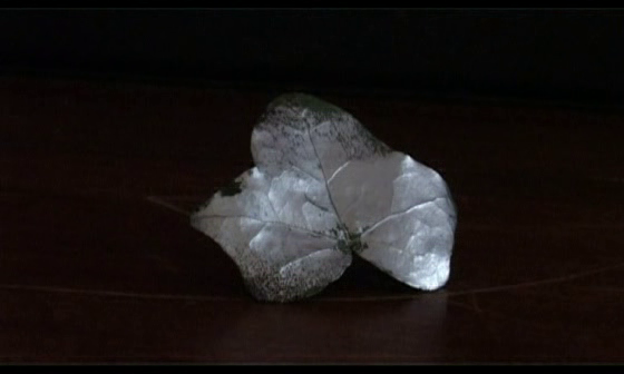 vlcsnap-2024-01-28-10h24m40s078