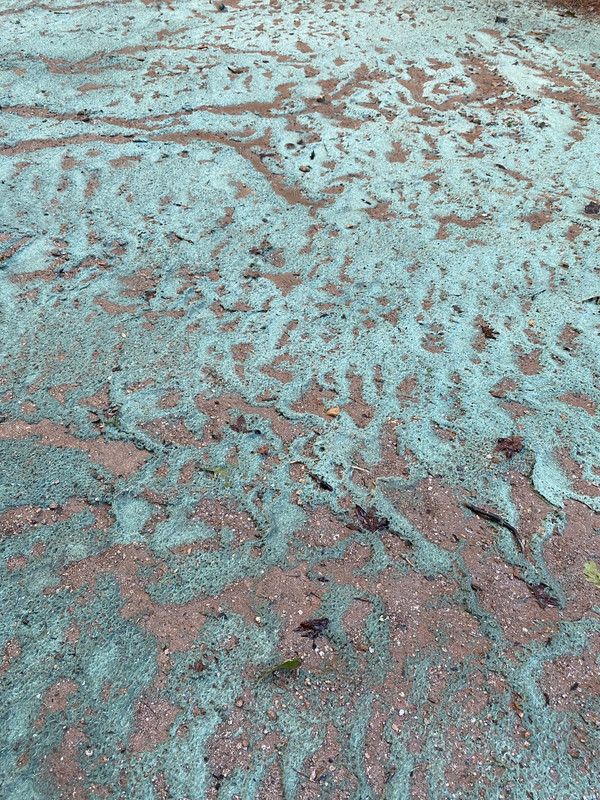 349586F7-D37D-4B79-B856-C27E54AE6023