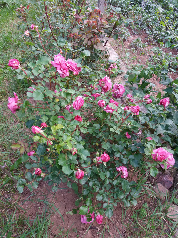20190601_192129