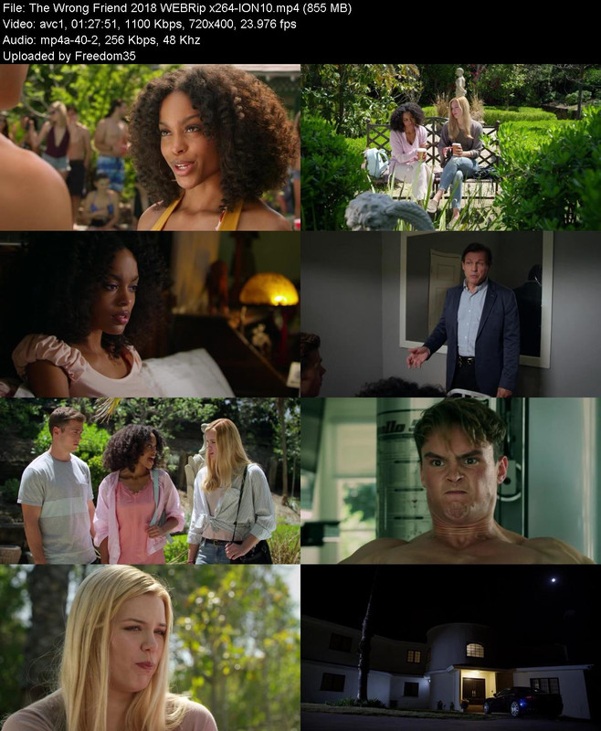 The-Wrong-Friend-2018-WEBRip-x264-ION10.