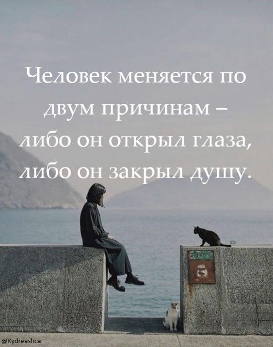[Изображение: 3e9cd22279401a767af83c19c64d877b.jpg]