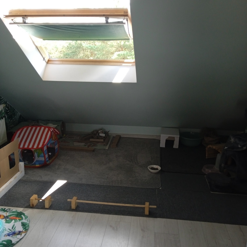 IMG-20240719-135355.jpg
