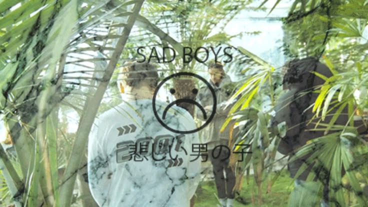 HaschBoys