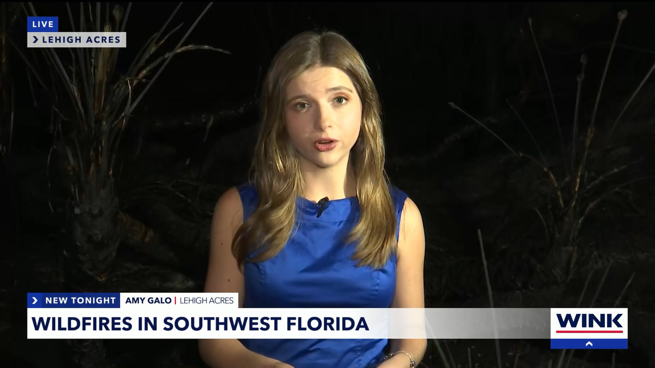 04.11 - 04.00.01 - WINK News at 11  ᴺᵉʷ. Local and regional news..ts_snapshot_16.39.094
