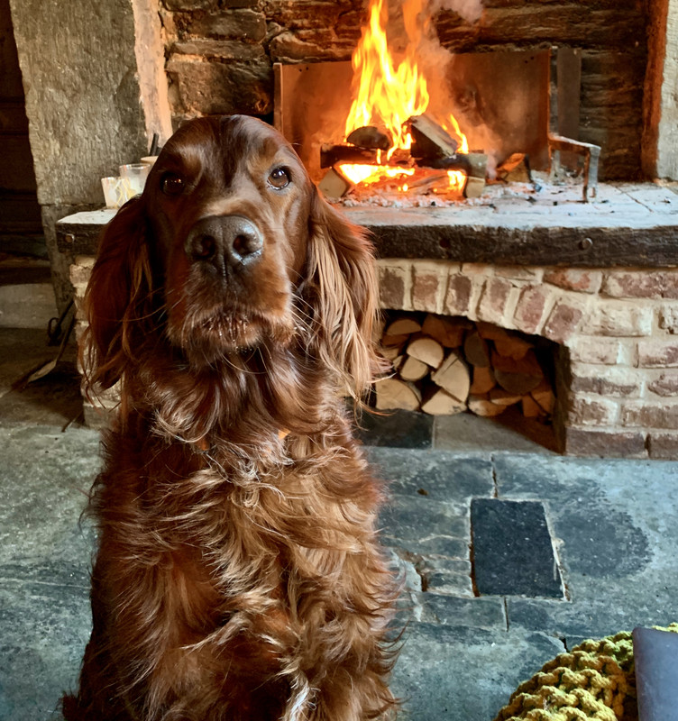 EC056C0C-D99B-437C-A874-4031753F1FFF_1_201_a