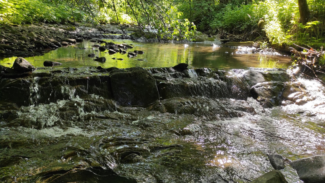 07.16 - IMG_20220618_160323 (Czesio1)