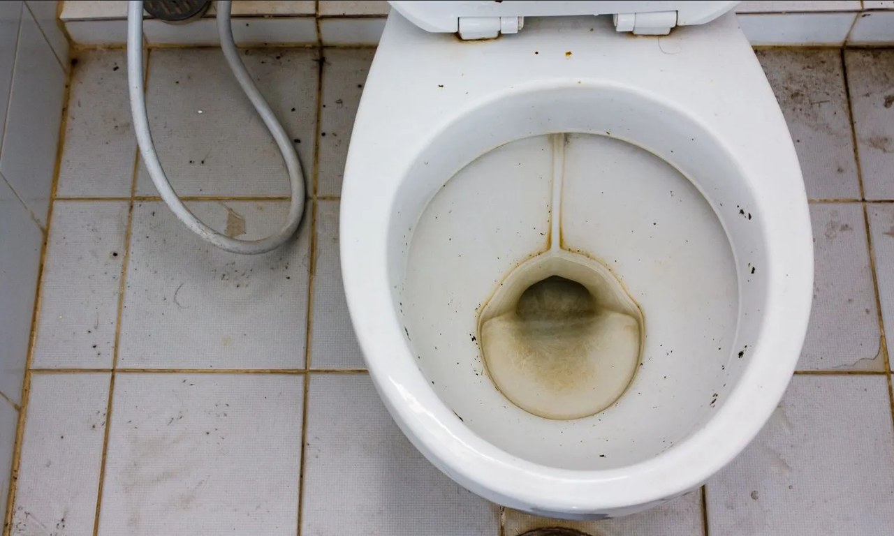 ¿Cómo limpiar el fondo de la taza del baño? Haz estos trucos fáciles y rápidos