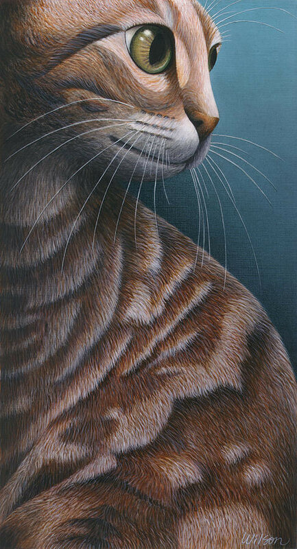 02-cropped-cat-3-carol-wilson