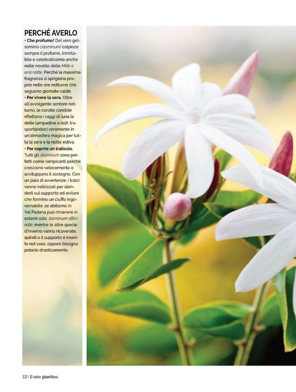 Il Mio Giar Ago-Set 2022 (3)