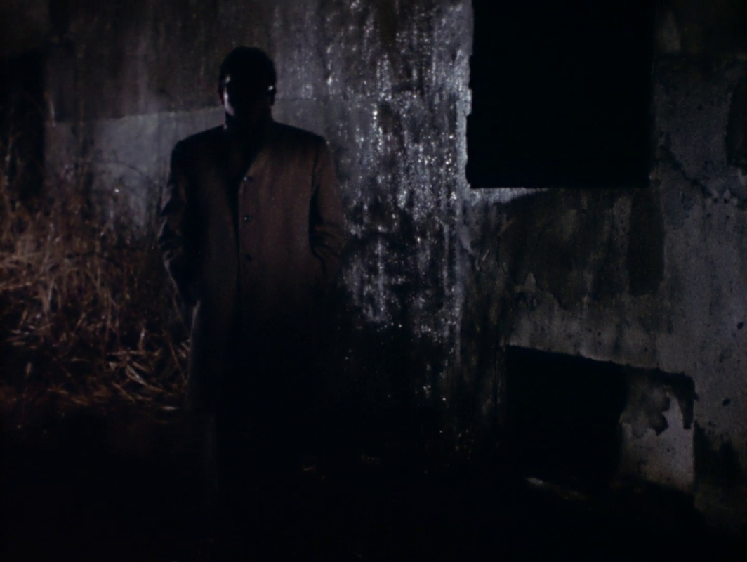 vlcsnap-2025-06-08-02h45m56s296