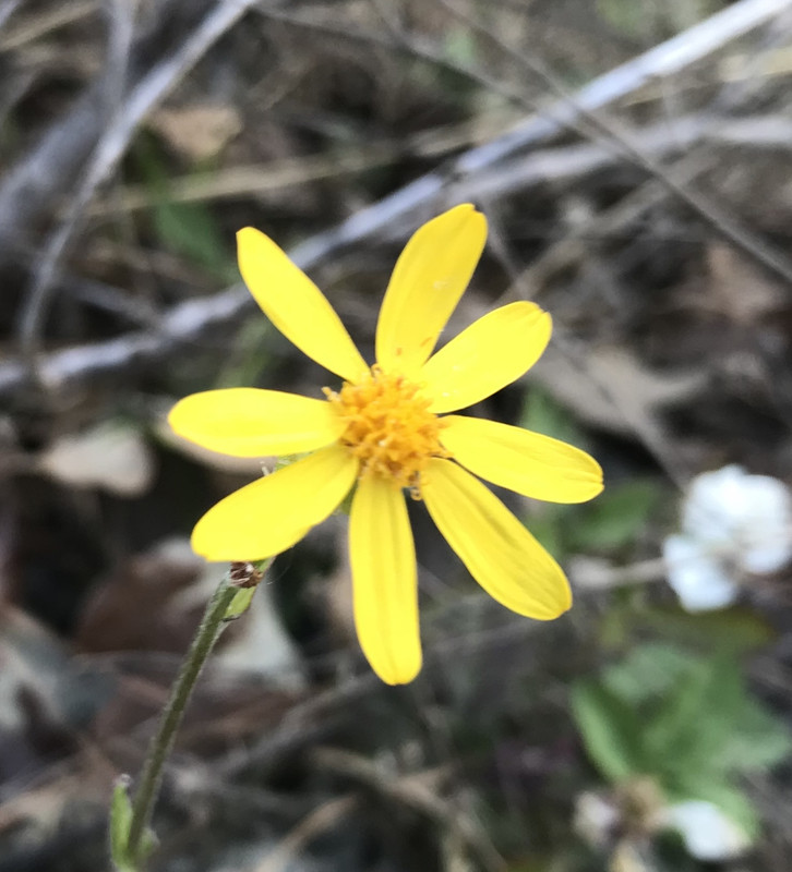 BA97ABC2-A161-4FD6-8A85-2B08861C823E