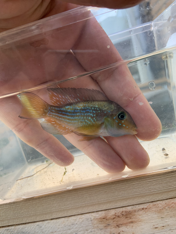 4DBA806D-E388-4B4B-A9E8-93FB1FD7DA24