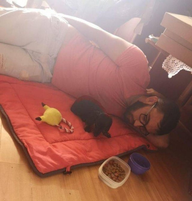 Pets-29