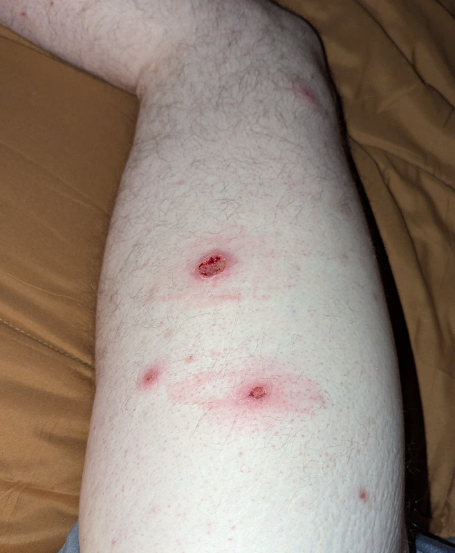 PXL 20251206 045609890