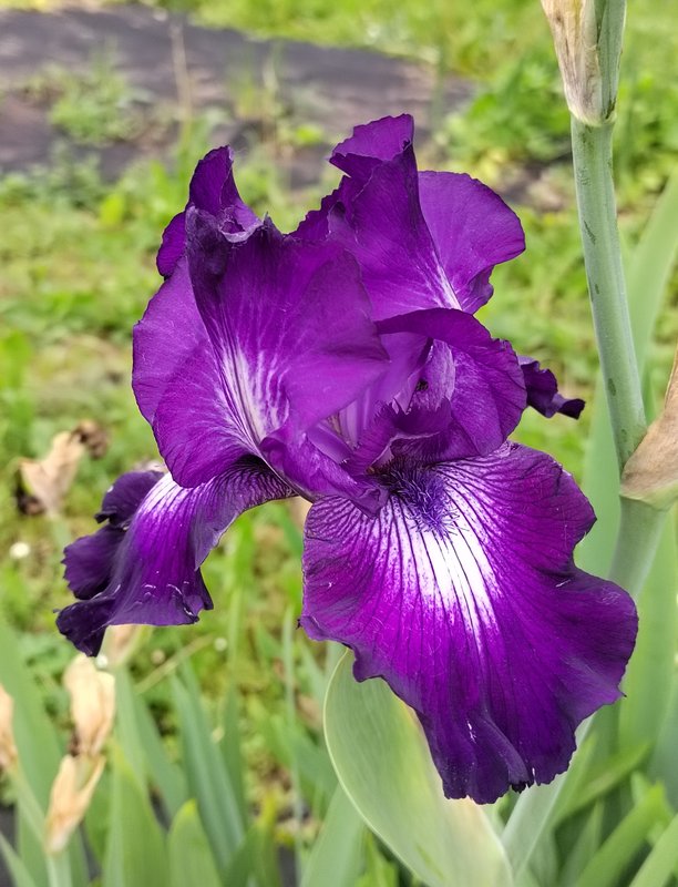 https://i.postimg.cc/LsXYLjmm/057-IMG-20240607-113313.jpg