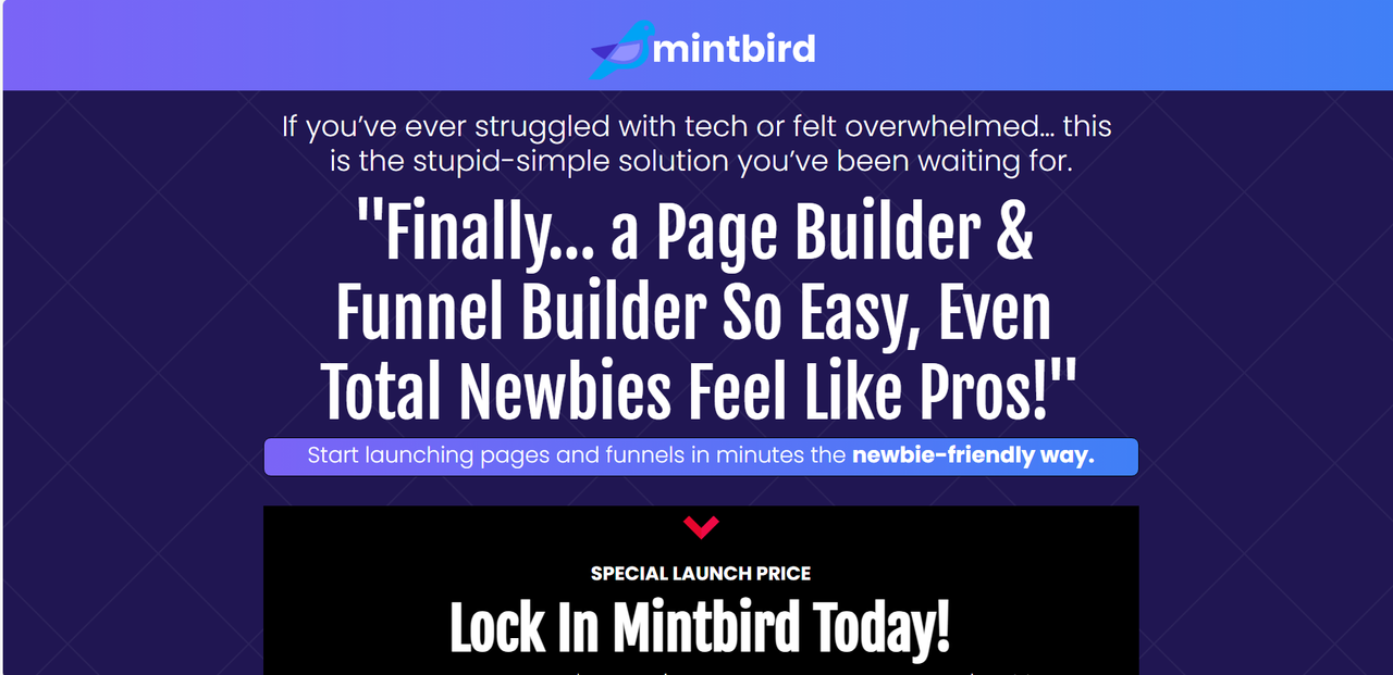 MintBird promotional graphic