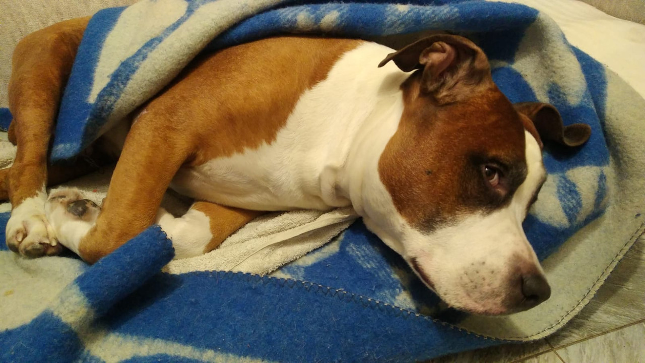 BF847FD5-2674-4BFE-B4AE-3C54A4C65448