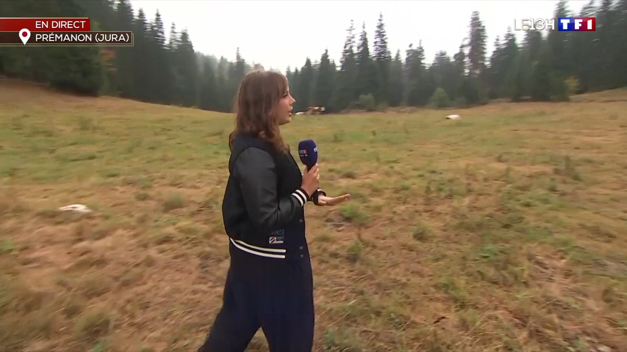 2022-08-19_13_00_TF1_Le-13h.mp4_snapshot_33.10.404