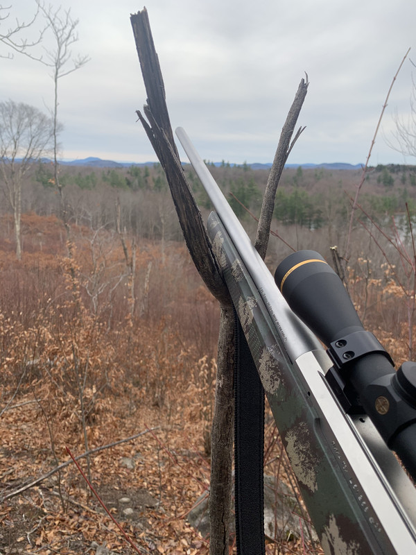 BC0BAD72-6AC8-450A-BF15-3434F2CBDCBD