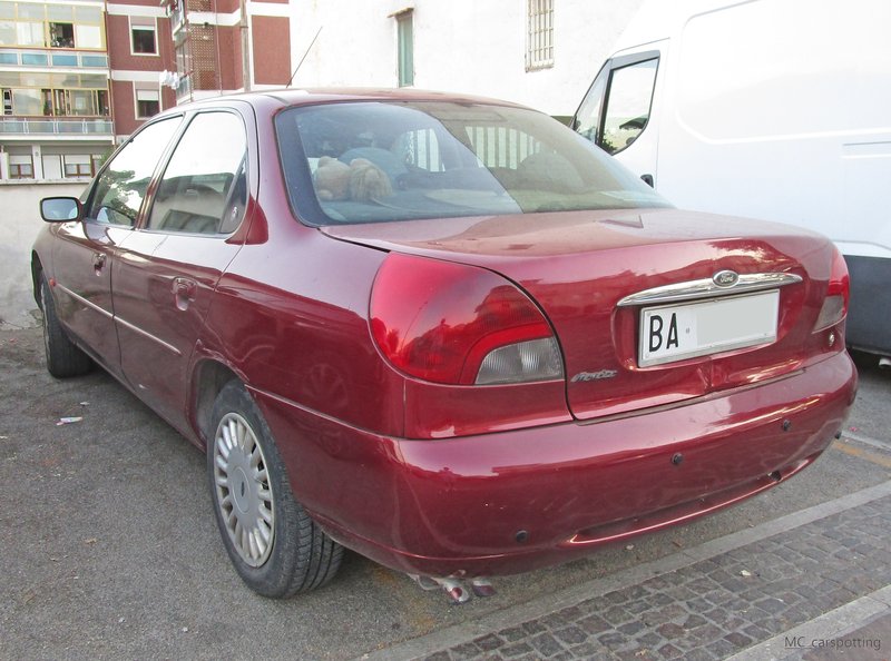 IMG-7419.jpg