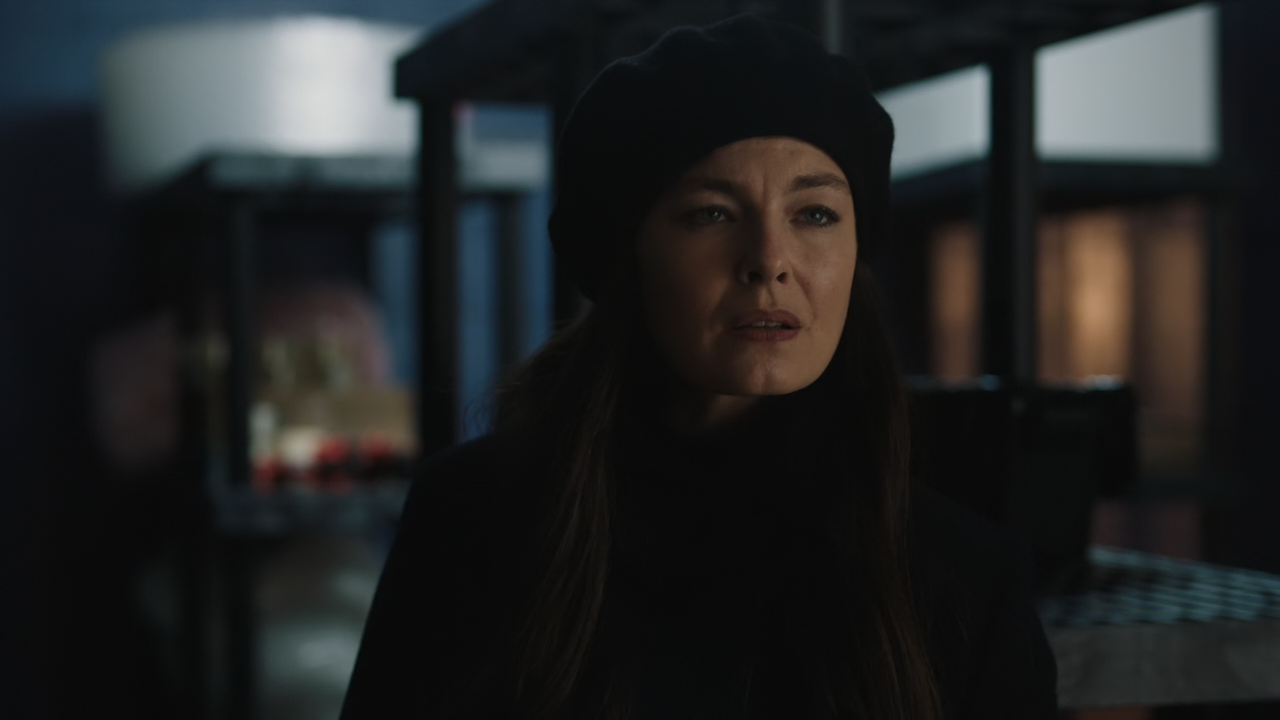 FBI.Most.Wanted.S03E16.Decriminalized.1080p.10bit.AMZN.WEB-DL.DDP5.1.HEVC-Vyndros.mkv_snapshot_20.08