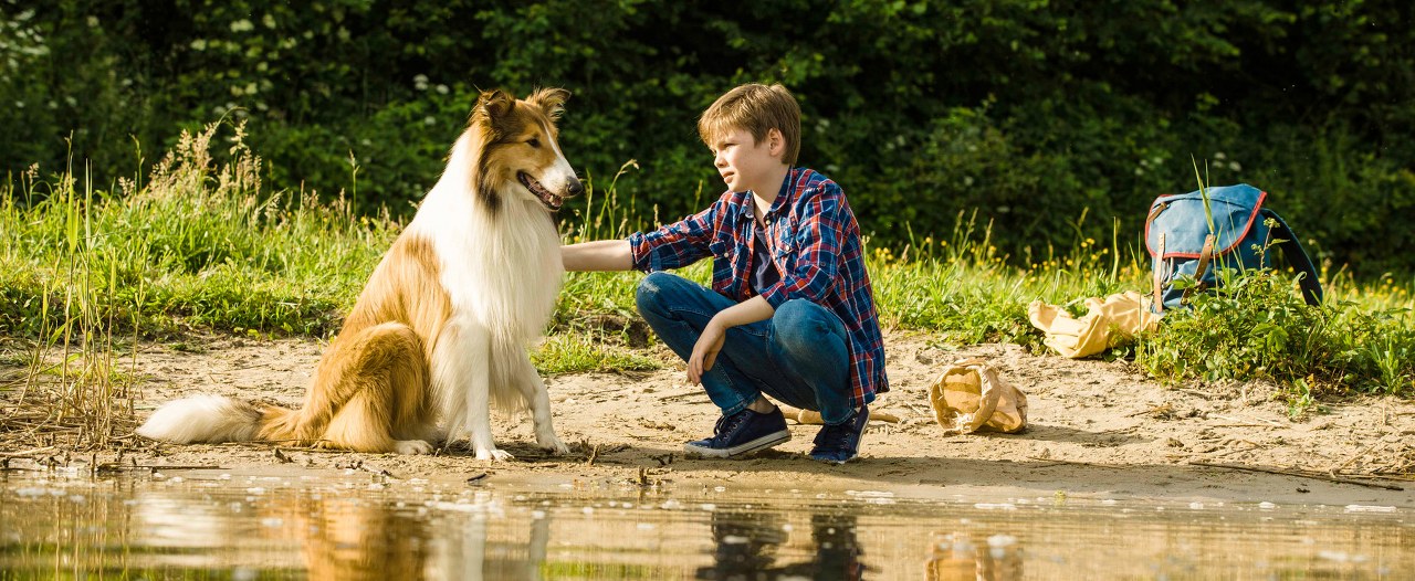 Lassie-Come-Home-1280x526