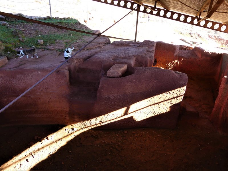 YACIMIENTO ARQUEOLOGICO DE TIERMES-16-2-2020 - Soria y sus pueblos-2010/2013/2020 (44)