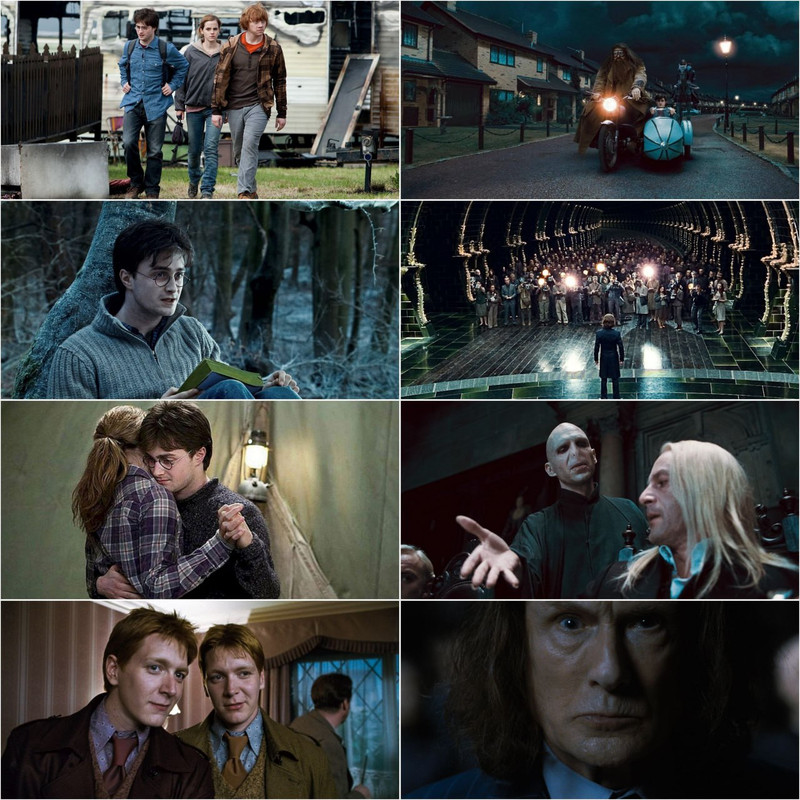 Harry Potter and the Deathly Hallows Part 1 (2010) Dual Audio [Hindi & English] Full Movie HD ESub screenshot