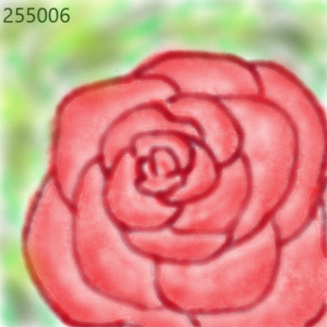 rose.png