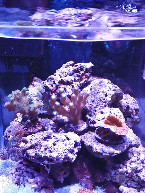 32D9B6E3-350E-4275-9665-5898FDDB516A