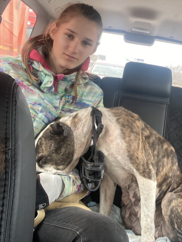 80825D16-9A98-426C-A20E-8831E7F6CBBB