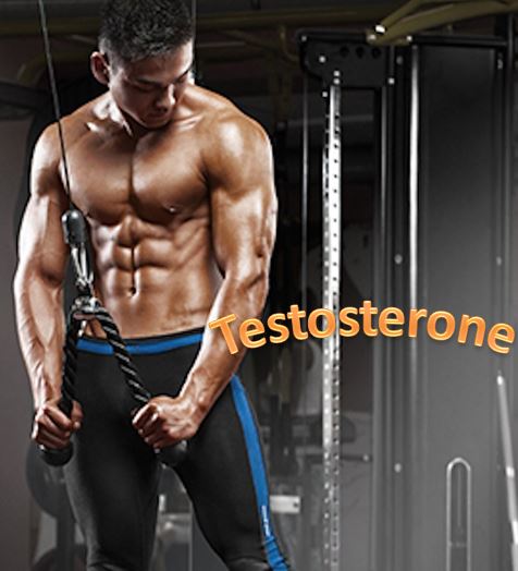 Testosterone-abs
