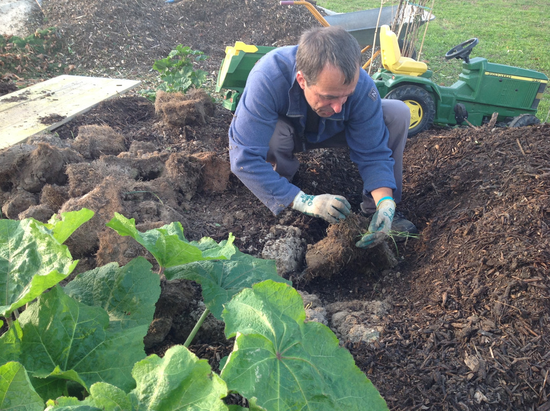 Kompostmiete Aus Drei mach Eins 2.Okt. 2015 (21)