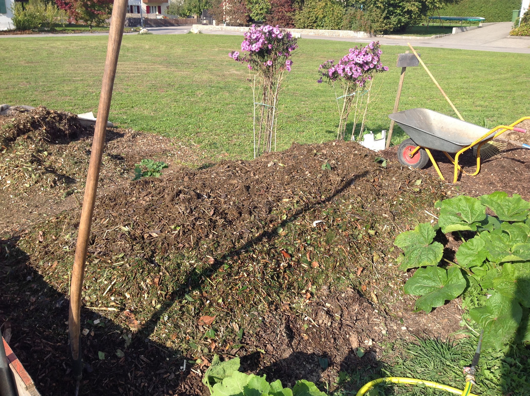 Kompostmiete Aus Drei mach Eins 3.Okt. 2015 (8)