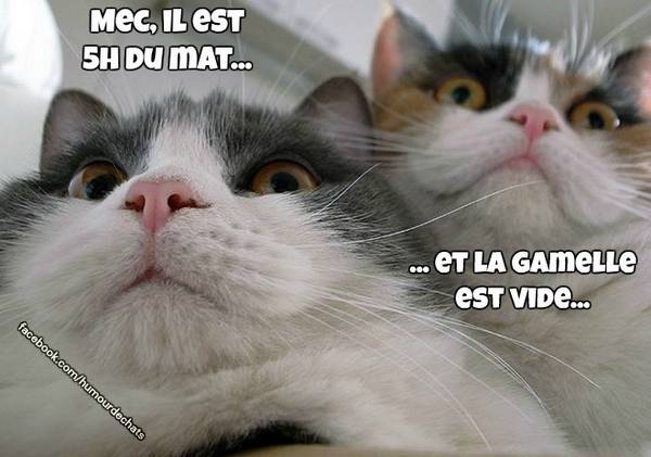 [Image: R3f657d9d275c249275d7fdfabcdfb63a.jpg]