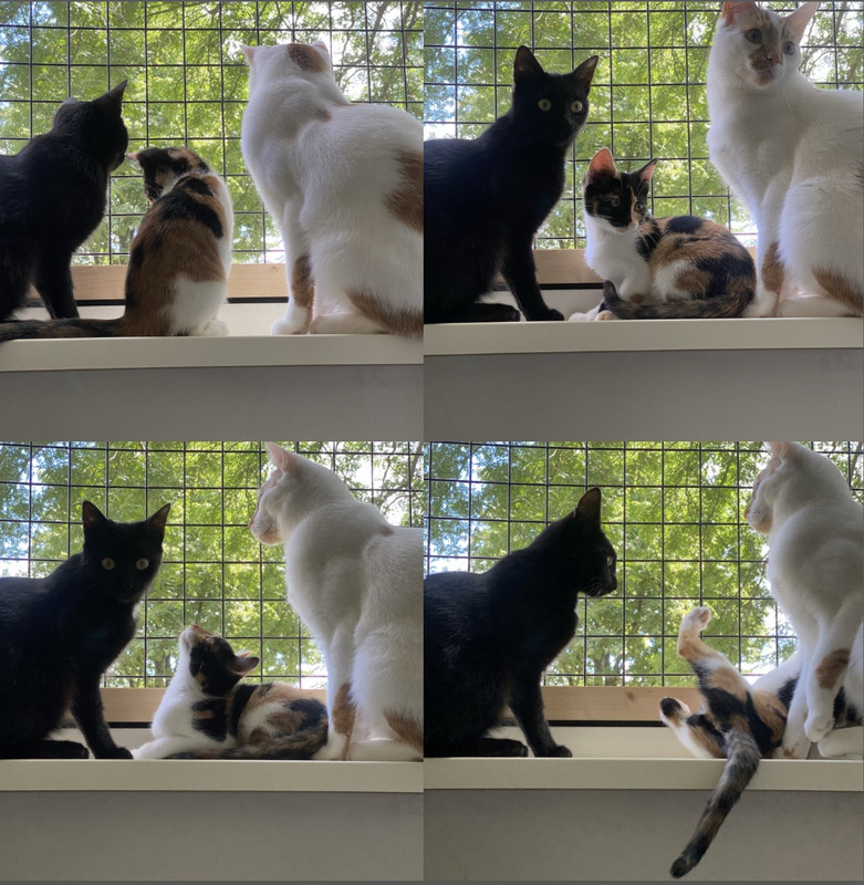 8021468C-ACB4-404E-B1C7-A17BAD5559D9