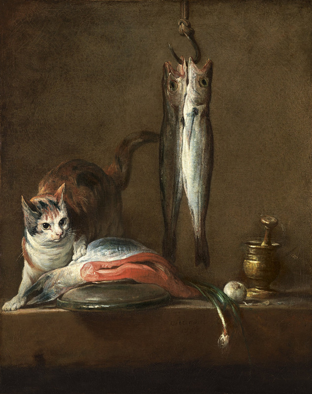 2-bodegon-gato-pescado