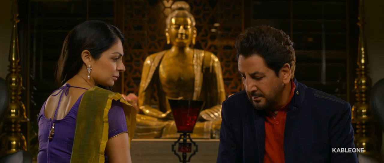 Dil Vil Pyaar Vyaar 2014 WebRip [Punjabi] 480p, 720p ESub Screenshot