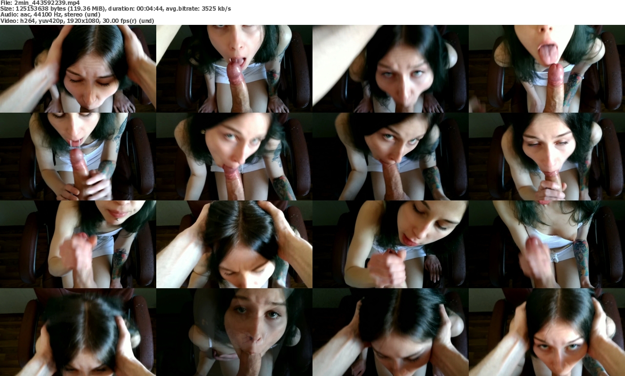 12082023171317screenshot