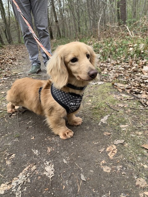 [Image: IMG-7847.jpg]