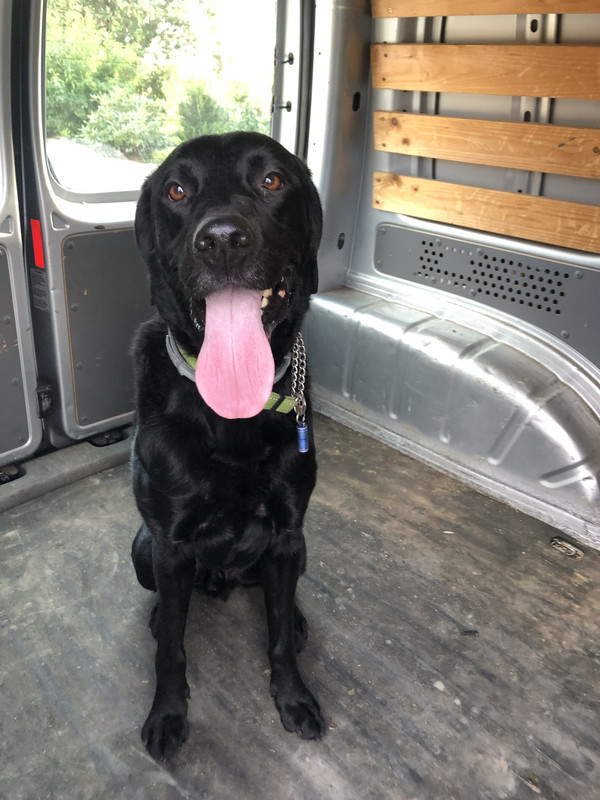 B892FDB3-A068-4678-8832-45F0CCFD0F12