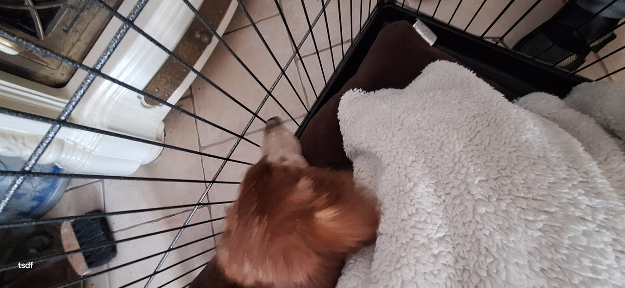 [Image: 20250303-092102.jpg]