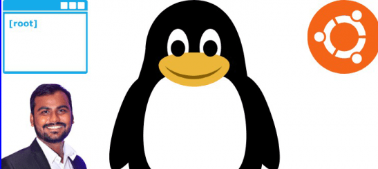 Linux Command (2021)